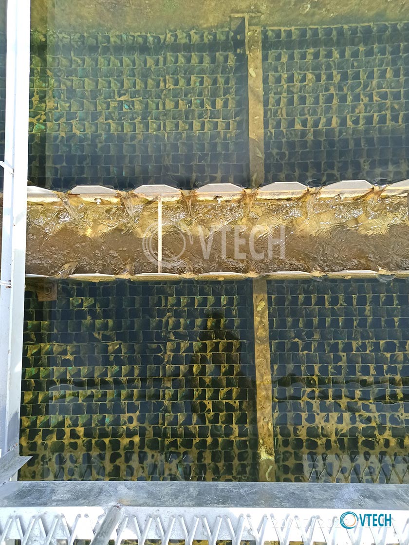 Chất lượng bể lắng lamen